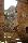 location vacances gite&nbsp; Aveyron