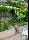 location vacances maison-villa&nbsp; Dordogne