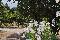 location vacances maison-villa&nbsp; Haute-corse