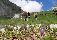 location vacances mobil home&nbsp; Haute-savoie