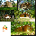 location vacances chalet&nbsp; Vosges