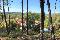 location vacances maison-villa&nbsp; Var