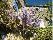 location vacances chambre d hote&nbsp; Tarn