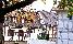 location vacances gite&nbsp; Bas-rhin