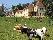 location vacances gite&nbsp; Dordogne