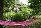 location vacances gite&nbsp; Vosges