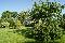 location vacances gite&nbsp; Seine-maritime