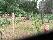 location vacances mobil home&nbsp; Landes