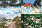 location vacances appartement&nbsp; Gironde