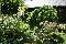 location vacances gite&nbsp; Vienne