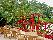 location vacances gite&nbsp; Aude