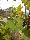 location vacances gite&nbsp; Luxembourg