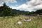location vacances gite&nbsp; Vosges