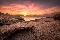 location vacances appartement&nbsp; Haute-corse