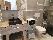 location vacances appartement&nbsp; Alpes-maritimes