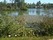 location vacances mobil home&nbsp; Charente-maritime