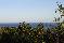 location vacances maison-villa&nbsp; Haute-corse