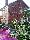 location vacances appartement&nbsp; Greater london