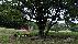 location vacances gite&nbsp; Tarn