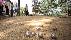 location vacances gite&nbsp; Tarn