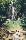 location vacances maison-villa&nbsp; Tarn-et-garonne