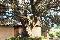 location vacances appartement&nbsp; Corse-du-sud