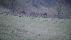 location vacances maison-villa&nbsp; Cantal