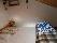 location vacances appartement&nbsp; Hautes-alpes
