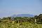 location vacances gite&nbsp; Vaucluse