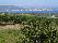 location vacances appartement&nbsp; Haute-corse