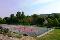 location vacances appartement&nbsp; Calvados
