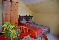 location vacances gite&nbsp; Haut-rhin