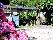 location vacances gite&nbsp; Tarn