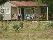 location vacances chalet&nbsp; Landes