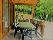 location vacances chalet&nbsp; Dordogne