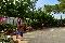 location vacances mobil home&nbsp; Hérault
