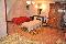 location vacances chambre d hote&nbsp; Seine-maritime